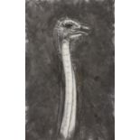 Carl Plackman,  British 1943-2004 -  Head of Ostrich, 2002-3;  charcoal and chalk on paper, 56....