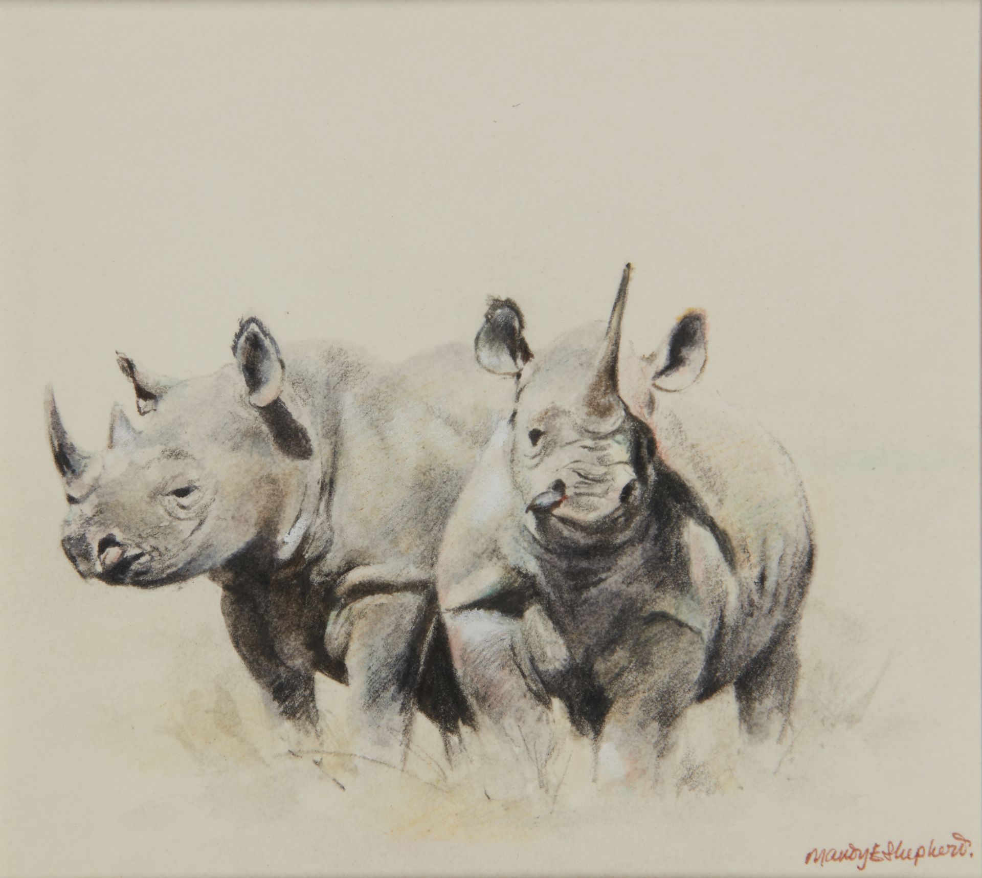 Mandy E. Shepherd,  British b.1960 -  Two Rhinos;  watercolour on paper, signed lower right 'Ma...