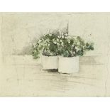 British School,  20th century -  Two flower pots;  etchings with aquatint, signed and numbered ...