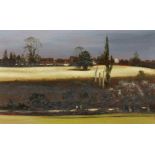 Peter Newcombe,  British b.1943 -  Cornfields - Blisworth, 1979;  oil on board, signed and date...