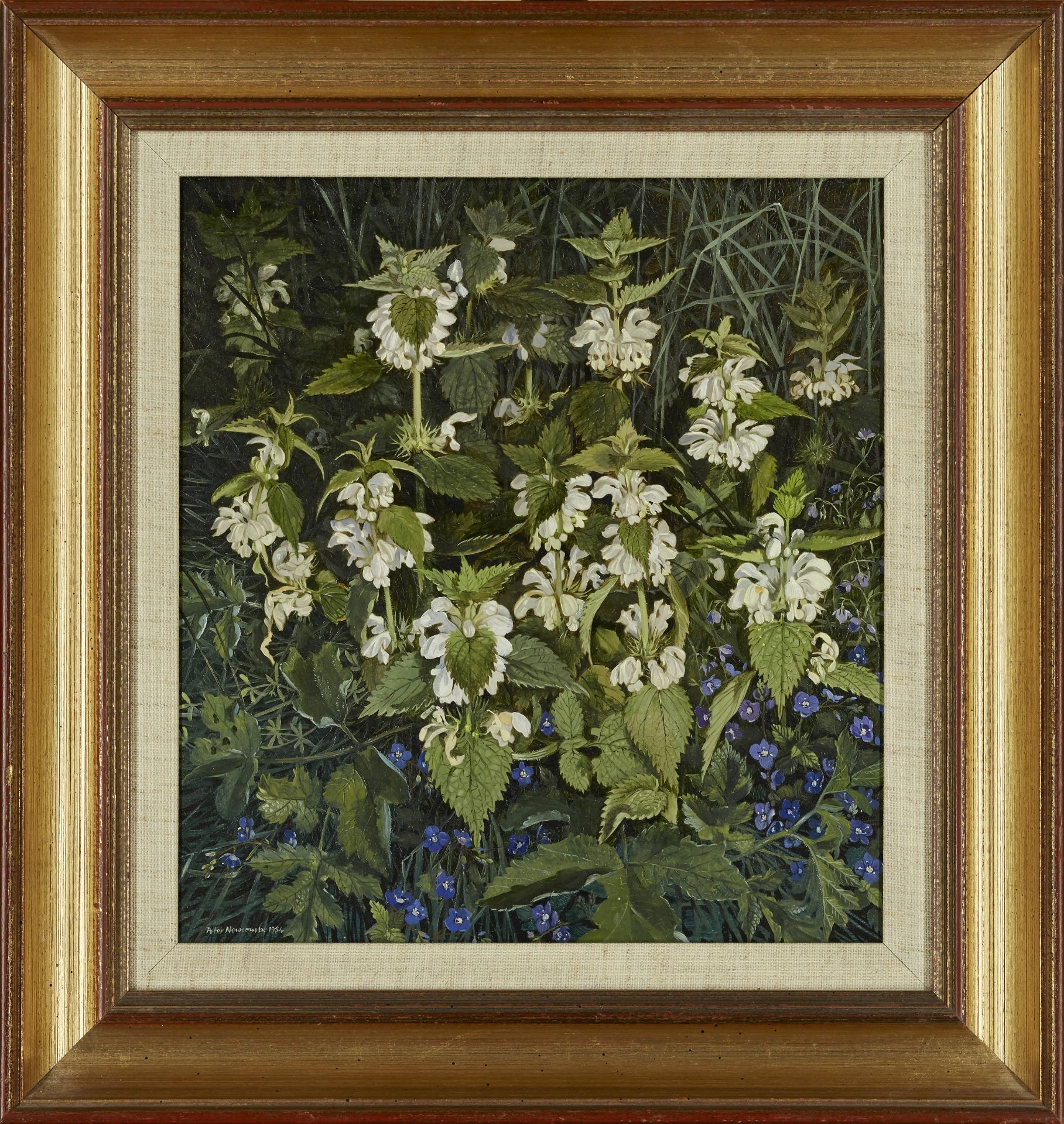 Peter Newcombe,  British b. 1943 -  White Dead Nettles, 1984;  oil on board, signed and dated l... - Image 2 of 3