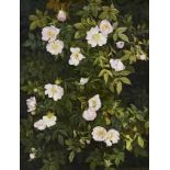 Peter Newcombe,  British b. 1943 -  Dog roses, 1989;  oil on board, signed and dated lower righ...