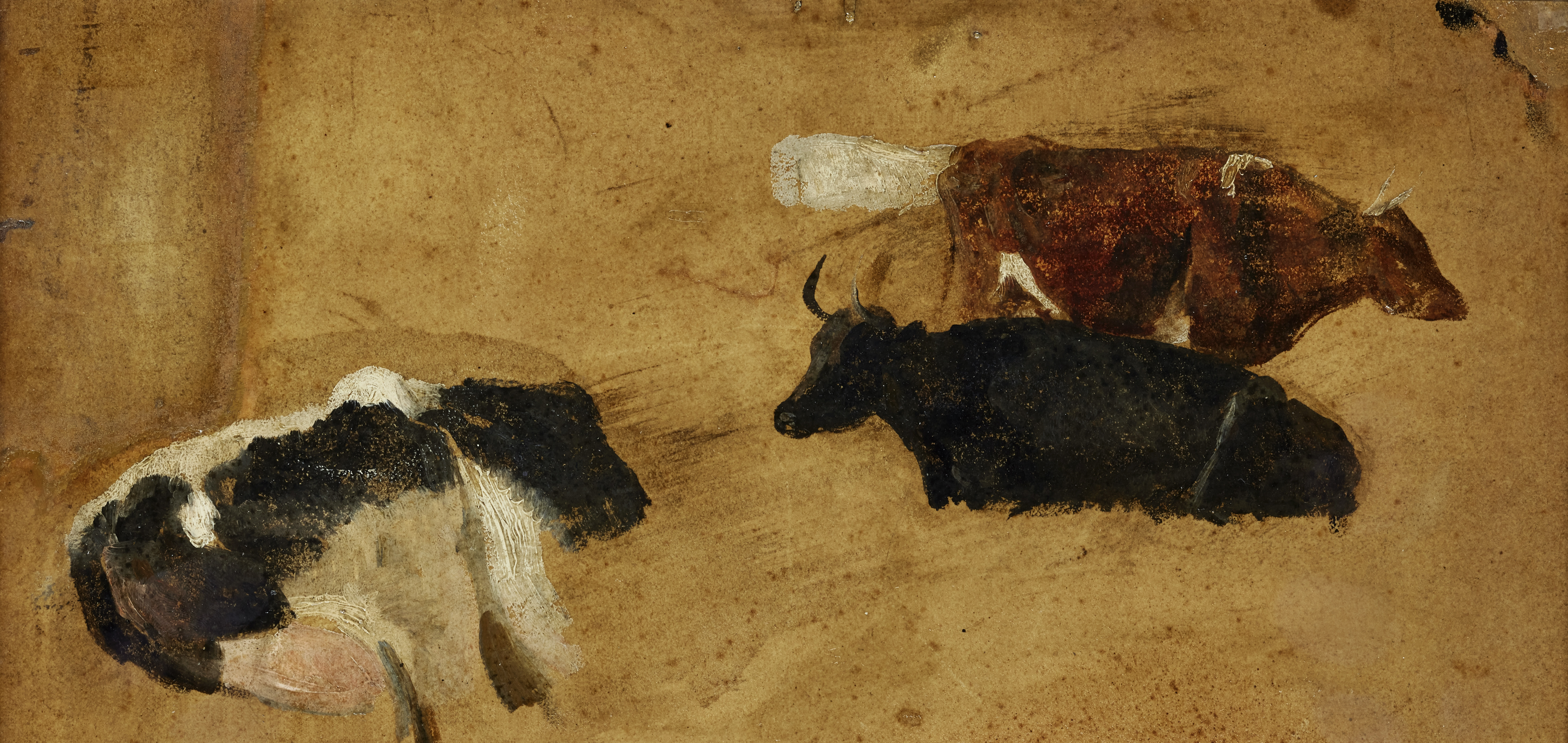 Thomas Sidney Cooper, RA,  British 1803-1902-  Studies of cattle;  oil on card laid down on can...