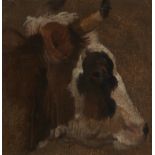 Follower of Johann Melchior Roos,  German 1663-1731-  Head of a cow;  oil on paper laid down on...