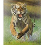 Martin Jarvis,  British, late 20th/early 21st century-  Portrait of an Indian tiger, 2002;  oil...