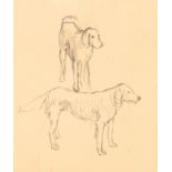 British School,  mid to late 20th century-  Study of two Red Setters;  pencil on paper, 24 x 2...