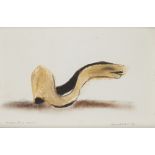 David Nash OBE RA,  British b.1945 -  Serpentine Vessel, 1992;  pastel on paper, signed and dat...