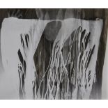 Analia Saban,  Argentinian b.1980 -  Photogram With Hand, 2011;  gelatin silver print on resin ...