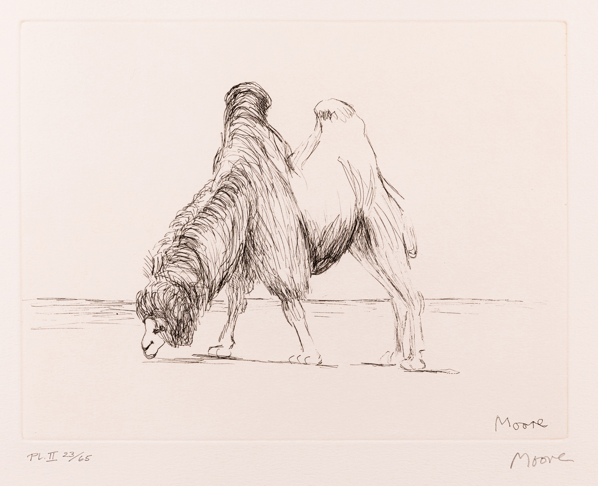 Henry Moore OM CH FBA, British 1898-1986, Dromedary, 1981;  etching on Arches paper, signed i...