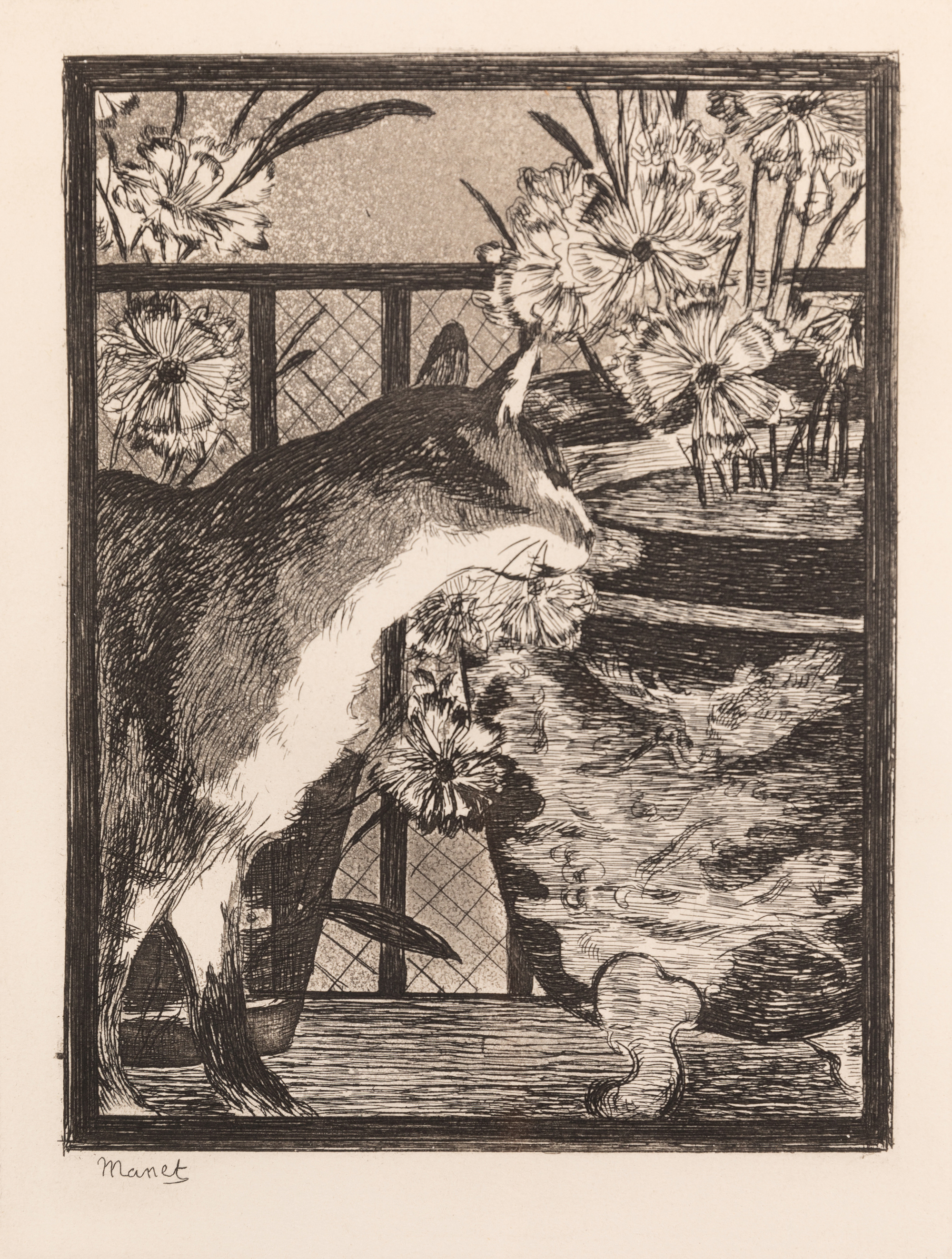 After Edouard Manet, French 1832-1883, Cat with flowers, 1869; etching with aquatint on Rives w...