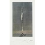 Salvador Dali, Spanish 1904-1989, Wheat Ear, 1947; lithograph in colours after an original pain...