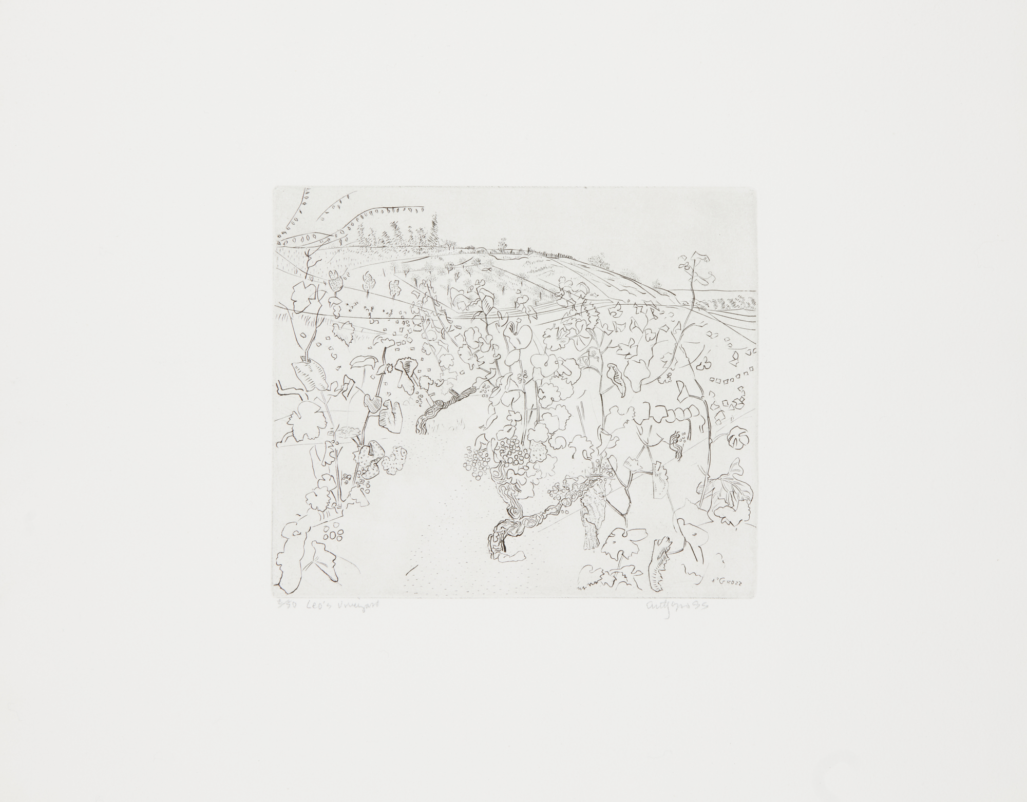 Anthony Gross CBE RA, British 1905-1984, Leo's Vineyard, 1975;  etching on wove,  signed, dated... - Image 2 of 2