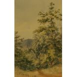 French School,  19th century-  Wooded mountain landscape at Ville-d’Avray;  watercolour, inscri...