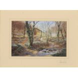 Maurice Bishop,  Late 20th/early 21st century -  Snowdrop Valley, Exmoor;  offset lithograph pr...