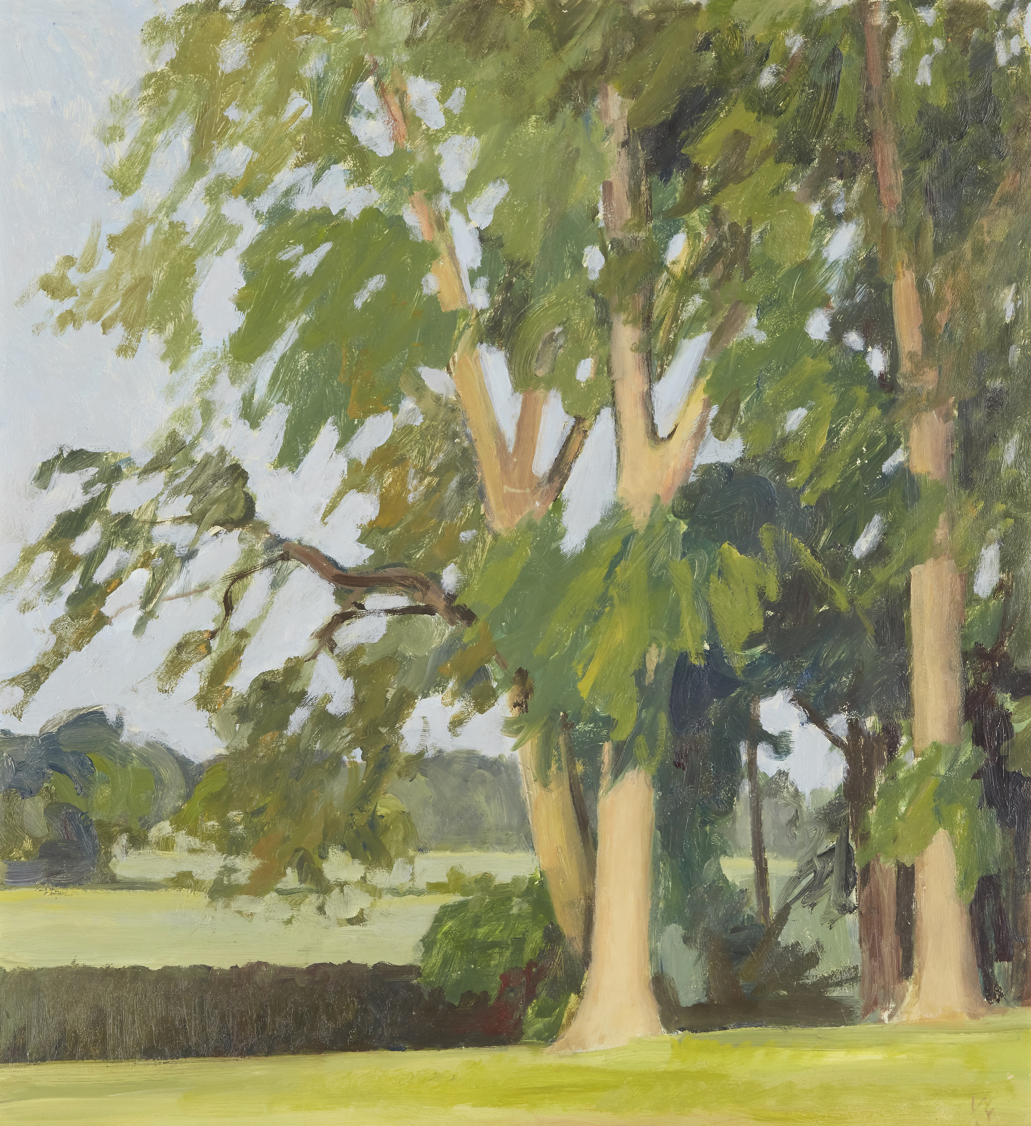 Vita Gollancz,  British 1926-2008 -  High Hall Trees, 1981; oil on board, signed with initials ... - Image 34 of 36