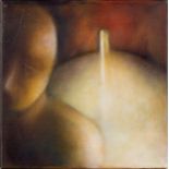 Kay Parsons, British active c.2001 -  Refuge: Affinity I, 2001;  oil on canvas, signed, titled ...