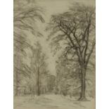 Henri-Joseph Harpignies,  French 1819-1916-  Arbres dans le parc;  charcoal on paper, 28.5 x 21...