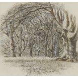 Walter Crane,  British 1845-1915-  View in Buck Hill Wood;  pencil, pen, ink, and wash heighten...