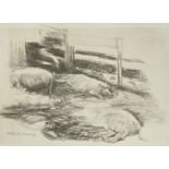 Max Liebermann, German 1847-1935, Pig pen; collotype print based on an original charcoal drawin...