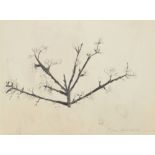 Mary Newcomb,  British 1922-2008 -  Cherry Blossoms;  pencil and wash on paper, signed lower ri...