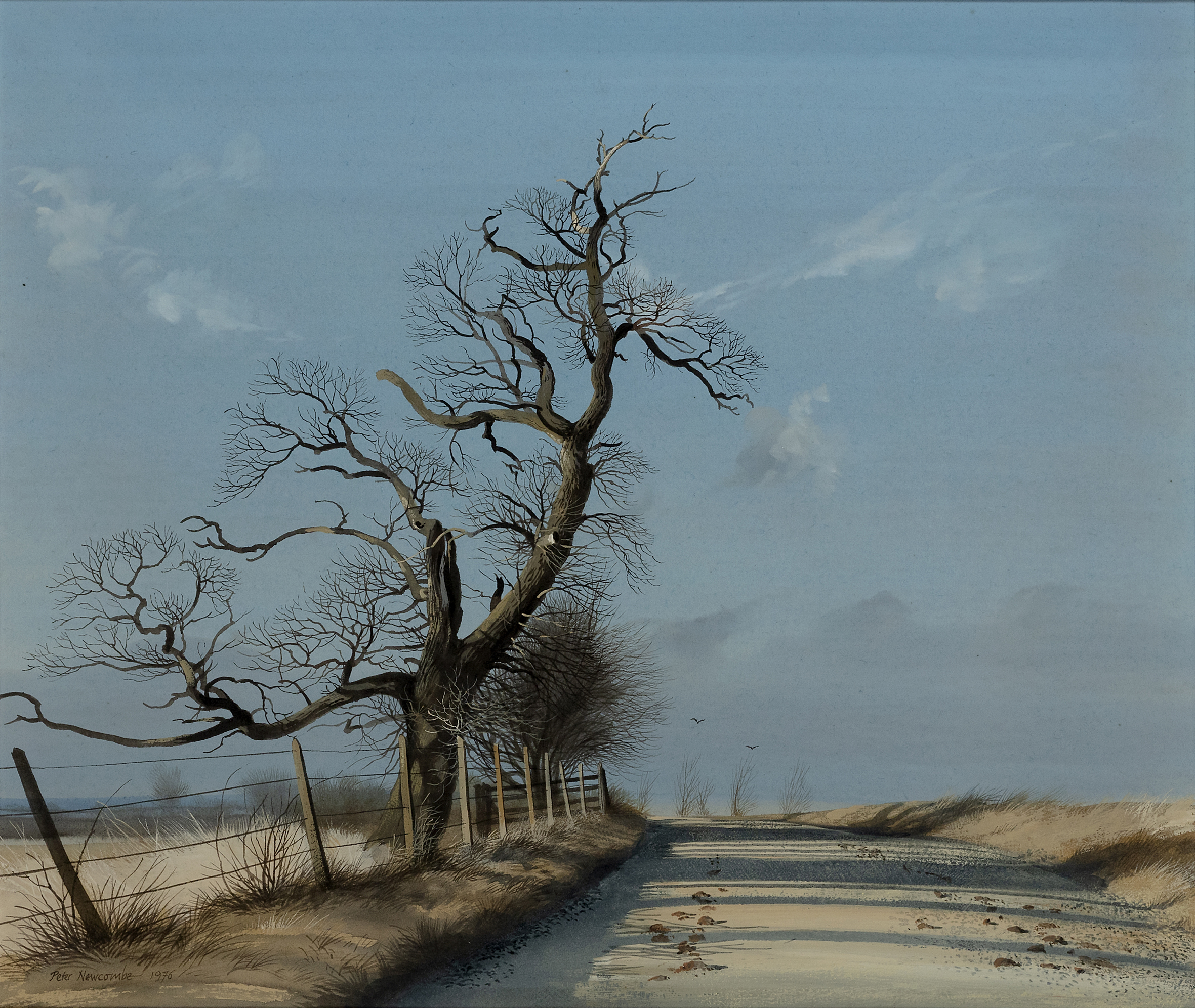 Peter Newcombe,  British b.1943 -  Roadside Oak at Courteenhall, 1975;  gouache on paper, signe...