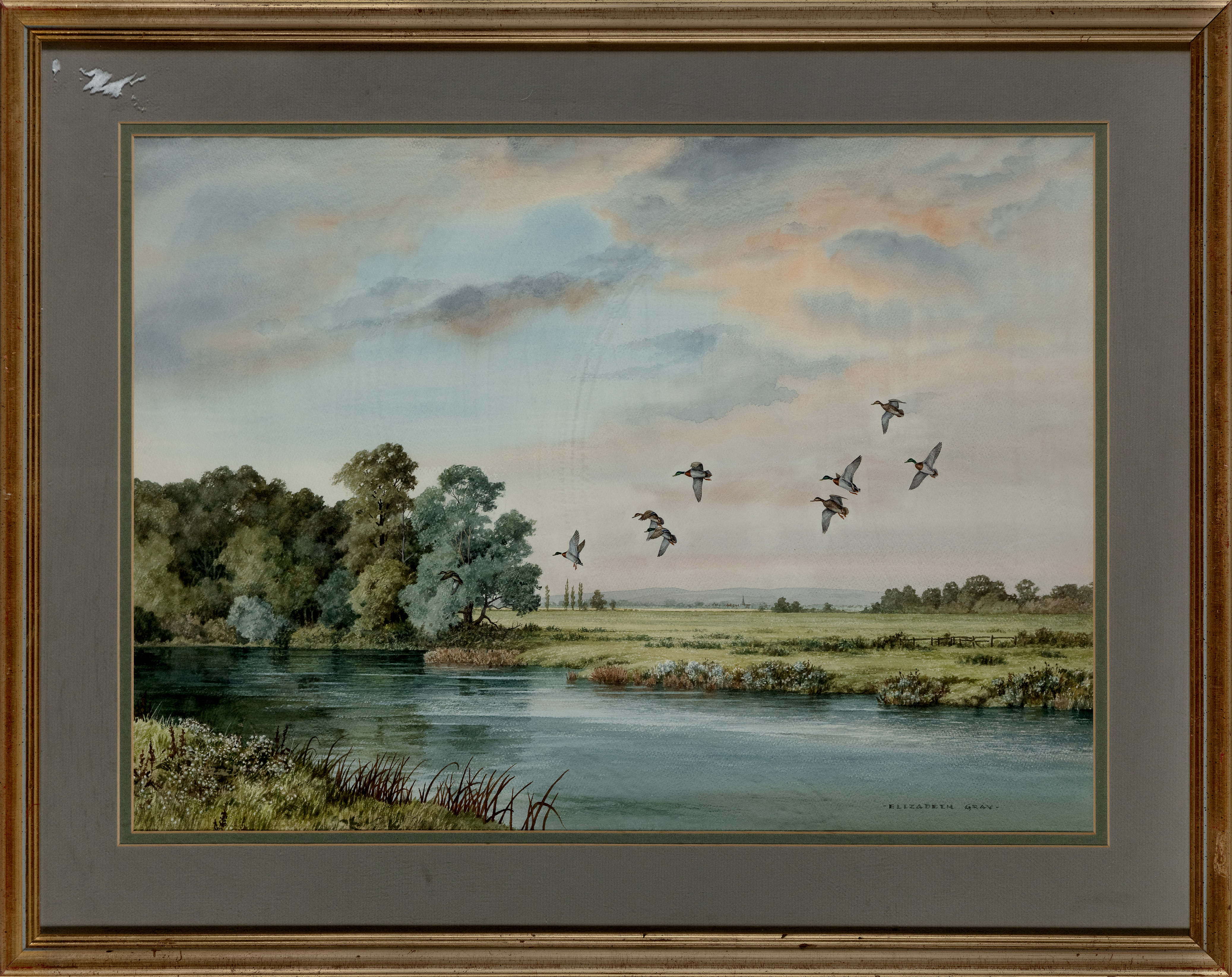 Elizabeth Gray,  British 1928-2022 -  Ducks in flight over a lake;  watercolour on paper, signe... - Image 2 of 3