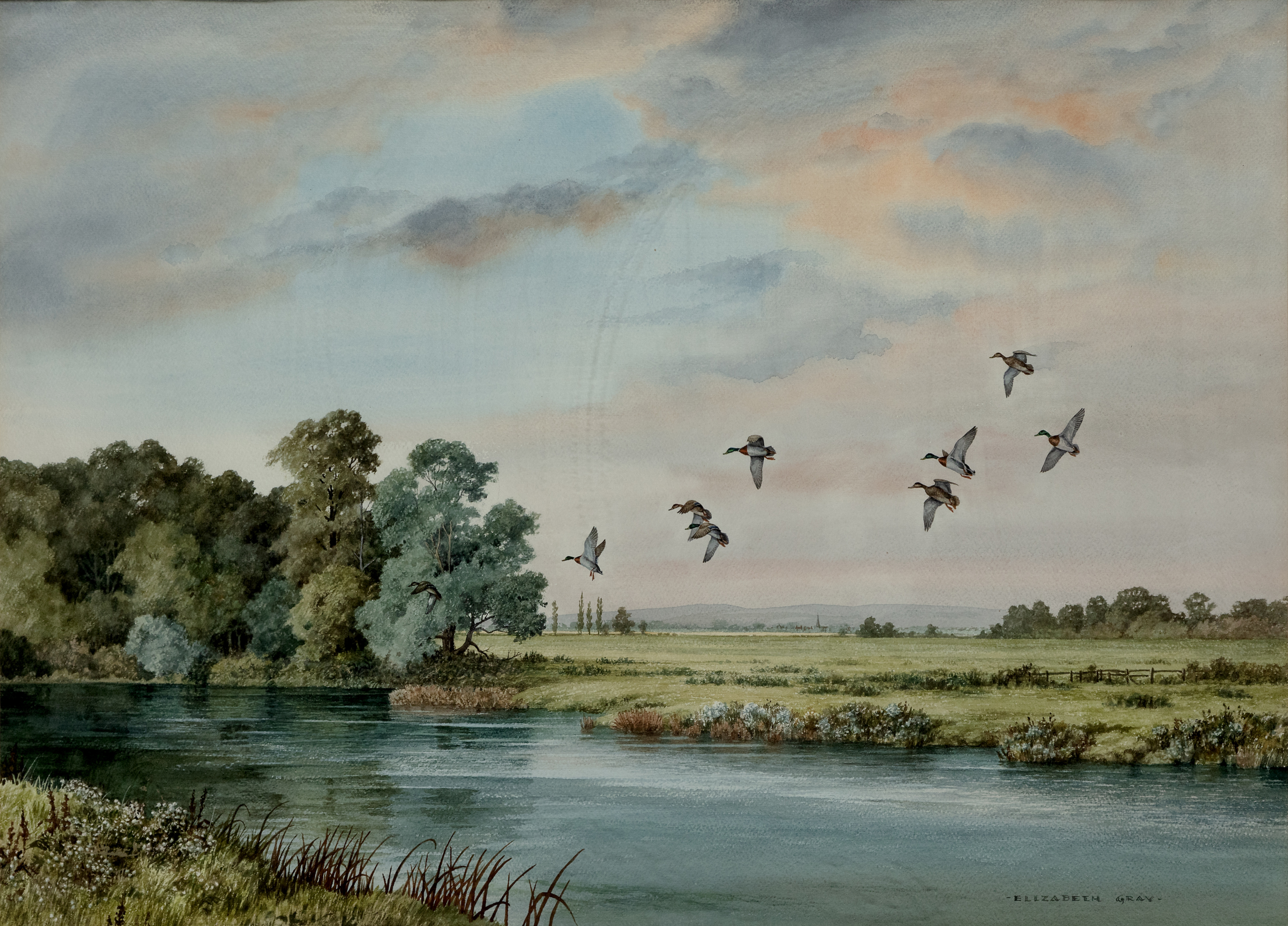Elizabeth Gray,  British 1928-2022 -  Ducks in flight over a lake;  watercolour on paper, signe...