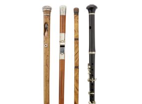 A group of four novelty walking canes, late 19th/early 20th century, comprising: an ebony example...