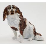 A Sitzendorf porcelain model of a spaniel, late 19th / early 20th century, blue triple line mark ...