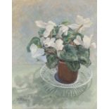 J. Folkard,  British, mid-20th century -  Flowering potted plant still life;  oil on board, sig...