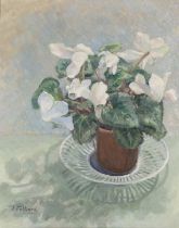 J. Folkard,  British, mid-20th century -  Flowering potted plant still life;  oil on board, sig...