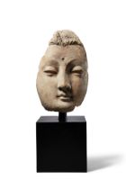 A fragmentary stucco head of a Buddha, ancient region of Gandhara, 4th-5th century, the face with...