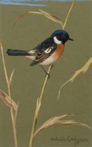 Ralston Gudgeon,  Scottish 1910-1984 -  Redstart;  watercolour on paper, signed lower right 'Ra...