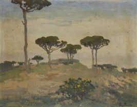 Iwan Trusz,  Ukranian 1869-1941 -  Pines n/v Yarosiv, Lviv; oil on cardboard, signed lower righ...