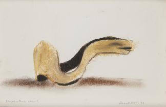 David Nash OBE RA,  British b.1945 -  Serpentine Vessel, 1992;  pastel on paper, signed and dat...