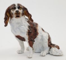 A Sitzendorf porcelain model of a spaniel, late 19th / early 20th century, blue triple line mark ...