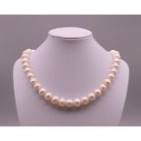 A pearl bead necklace. 44 cm long.