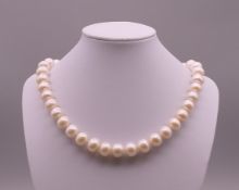 A pearl bead necklace. 44 cm long.