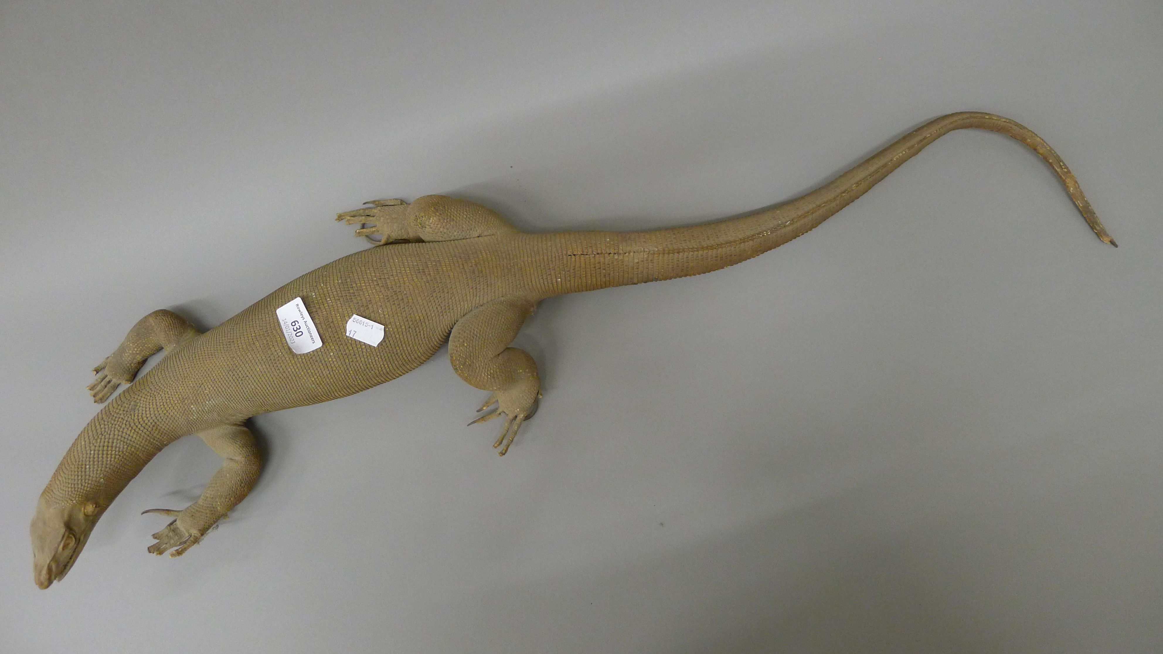Three taxidermy specimens: a lizard, a small crocodile and a gecko. The former 83 cm long. - Image 2 of 9