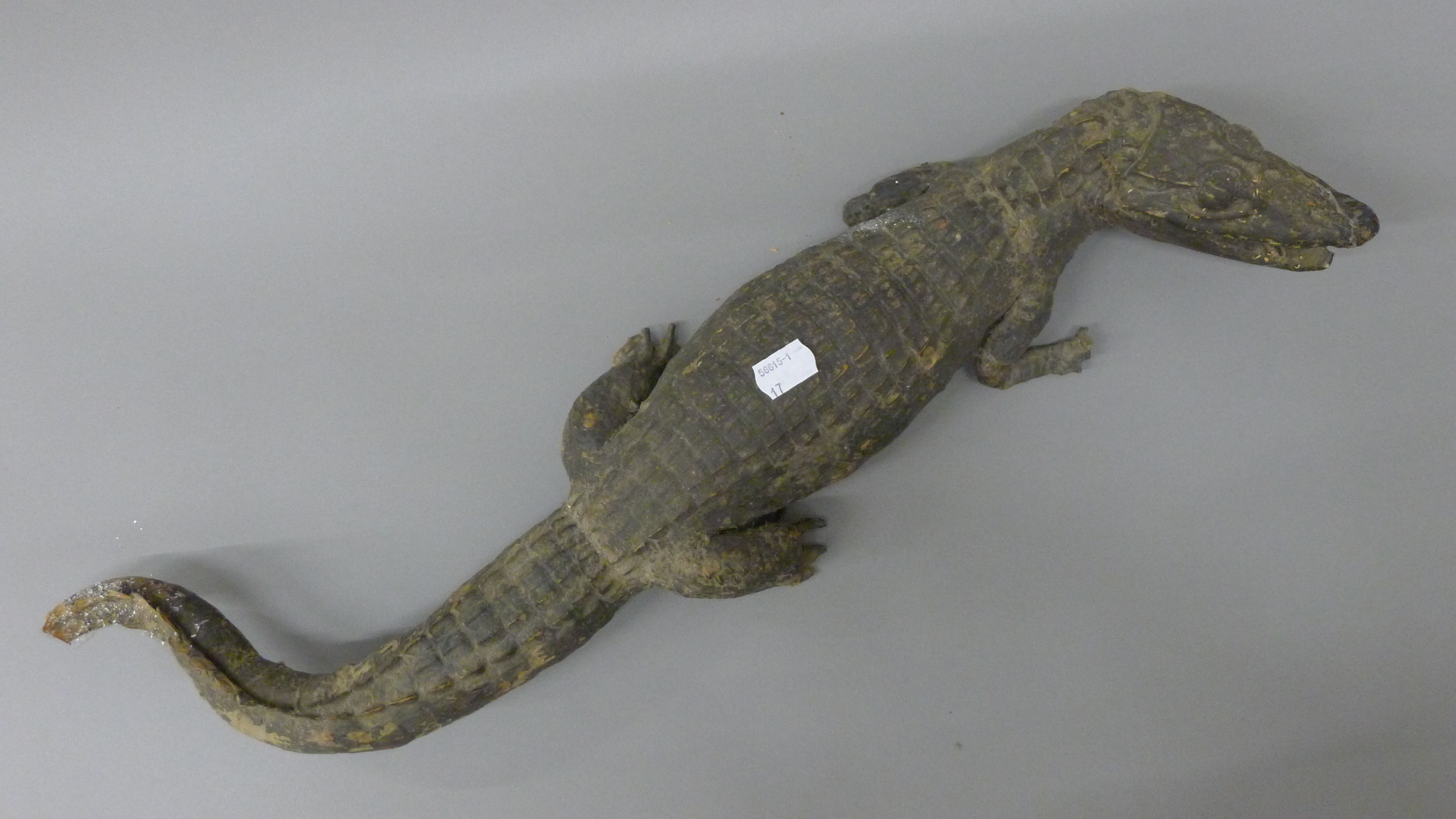 Three taxidermy specimens: a lizard, a small crocodile and a gecko. The former 83 cm long. - Image 4 of 9