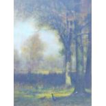 19TH CENTURY SCHOOL, Birds in a Clearing, oil on canvas, framed. 44.5 x 59.5 cm.