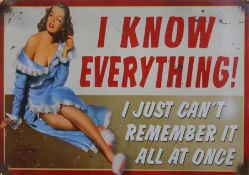 A novelty 'I Know Everything' sign. 70 x 50 cm.