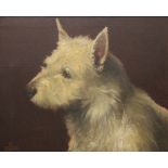 B OFFOR, A Portrait of a West Highland Terrier, oil on canvas, framed. 52 x 42 cm.