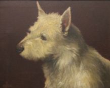 B OFFOR, A Portrait of a West Highland Terrier, oil on canvas, framed. 52 x 42 cm.