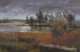 STEVE LEWIS, Earith Fen, watercolour, framed and glazed. 41.5 x 28 cm.