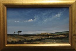 JOHN ROHDA (20th/21st century) British, Country View, oil on board, framed. 35.5 x 21 cm.