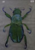 Scarab Beetle, print, framed and glazed. 40.5 x 58 cm.