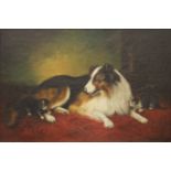Collie and Two Kittens, oil on canvas, framed. 59 x 39.5 cm.