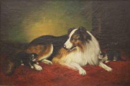 Collie and Two Kittens, oil on canvas, framed. 59 x 39.5 cm.