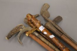A quantity of walking sticks and golf clubs.